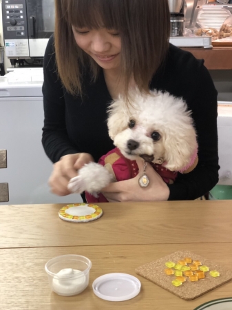 VENUSFORT FAMILY WORKSHOP-愛犬・お子様と一緒に!肉球・手型コースター