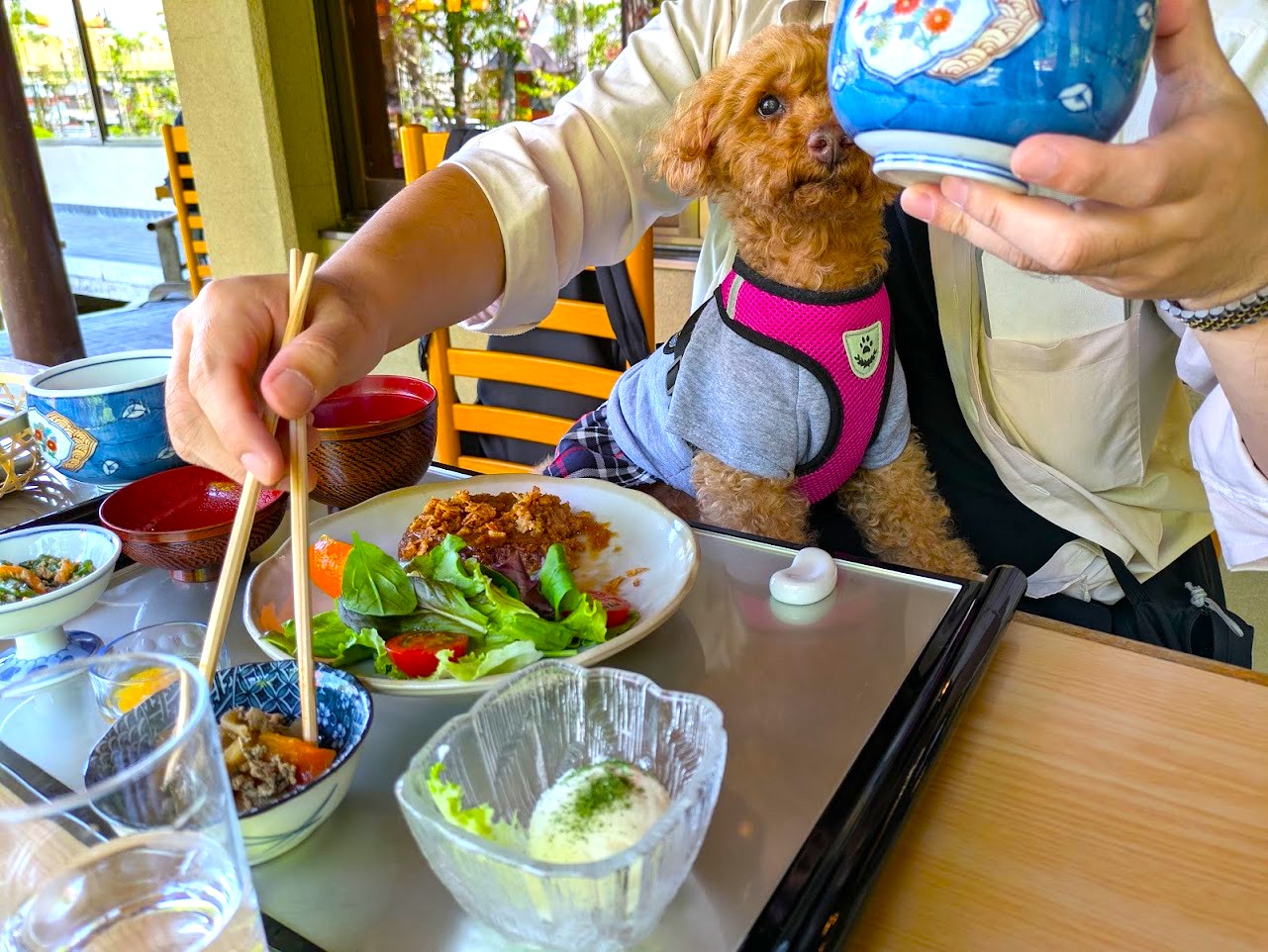 TERAカフェ花美津姫