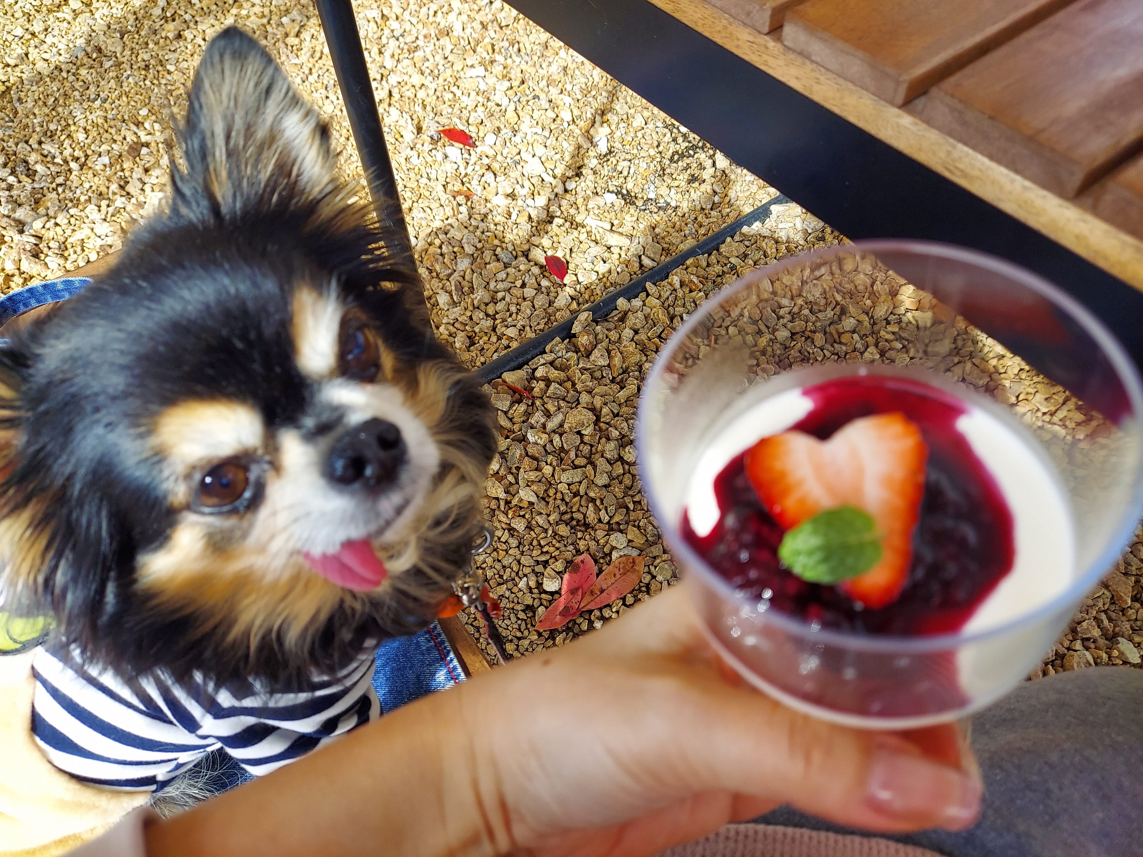 Cave des ARTIVEURS(キャーヴ・デ・ザルティバー)