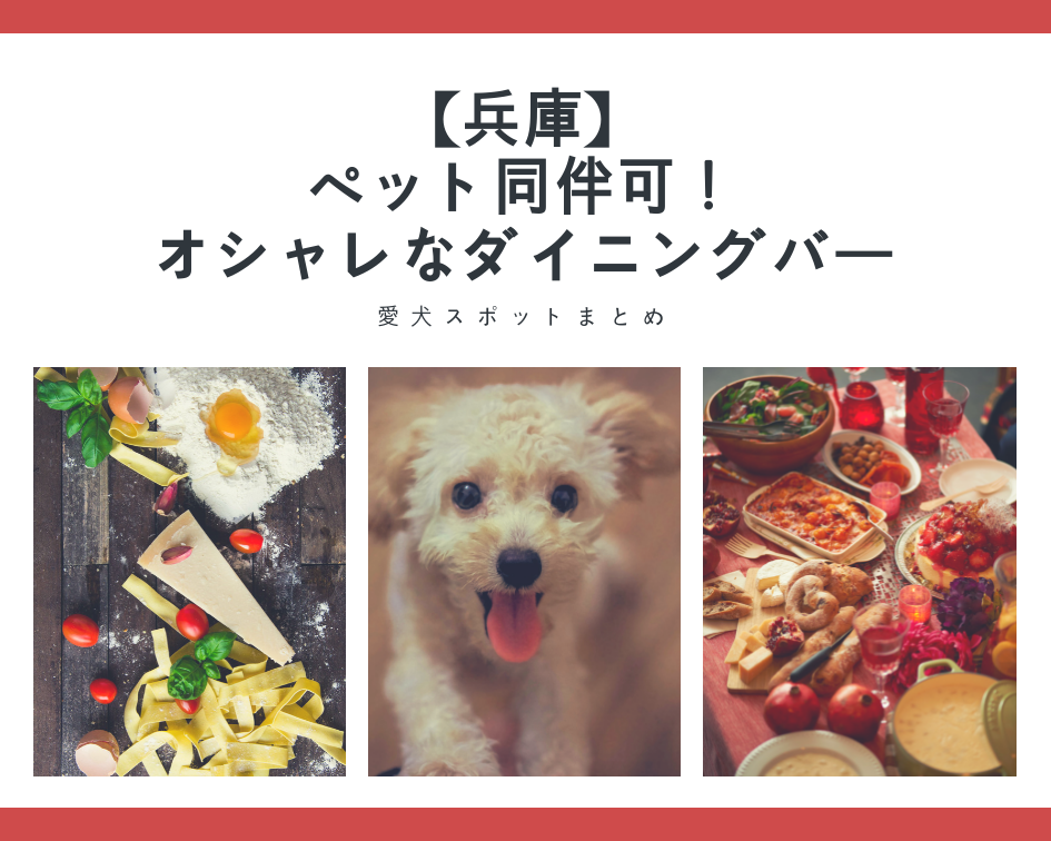 【兵庫】ペット同伴可!オシャレなダイニングバーまとめ