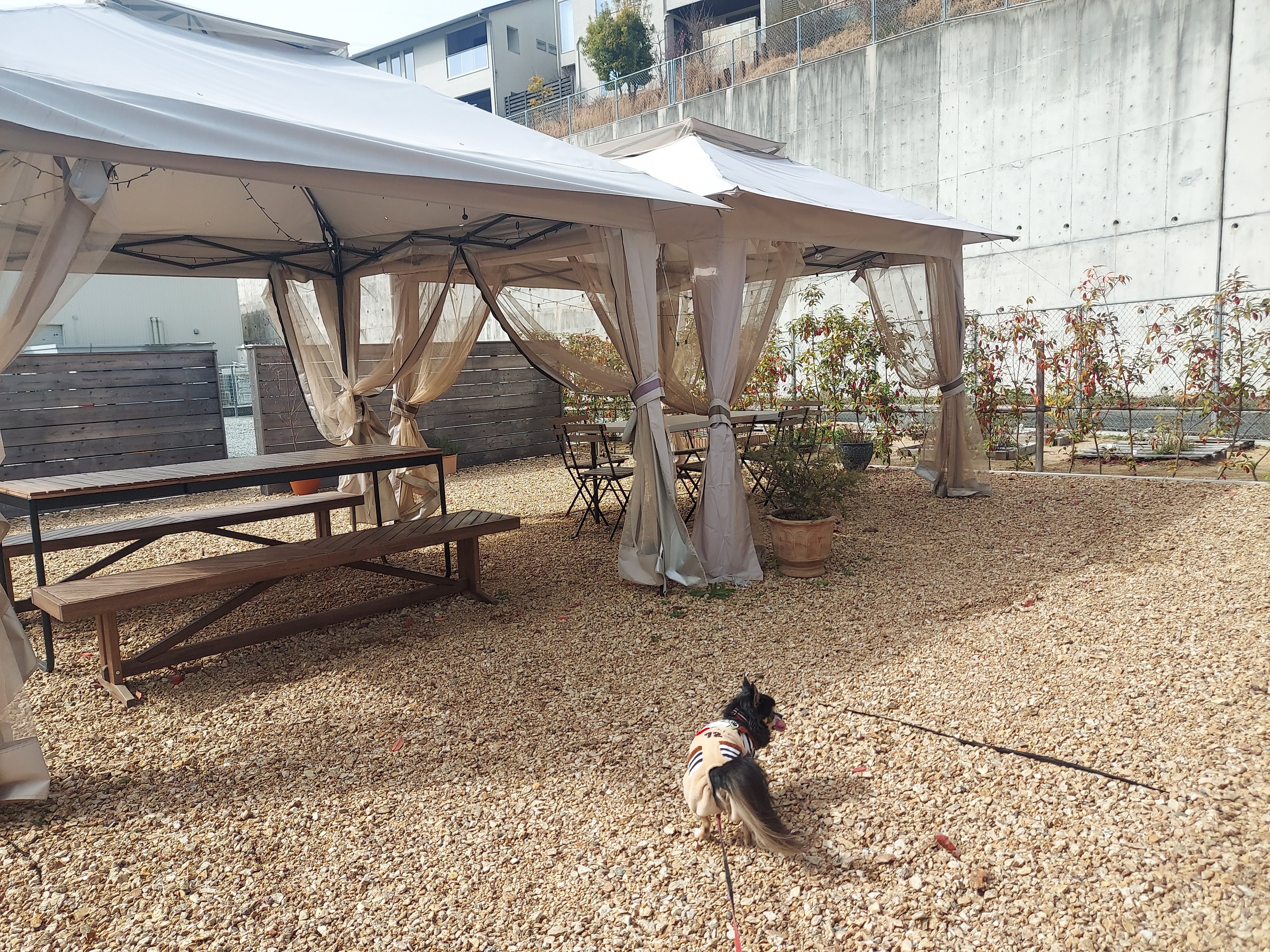 Cave des ARTIVEURS(キャーヴ・デ・ザルティバー)