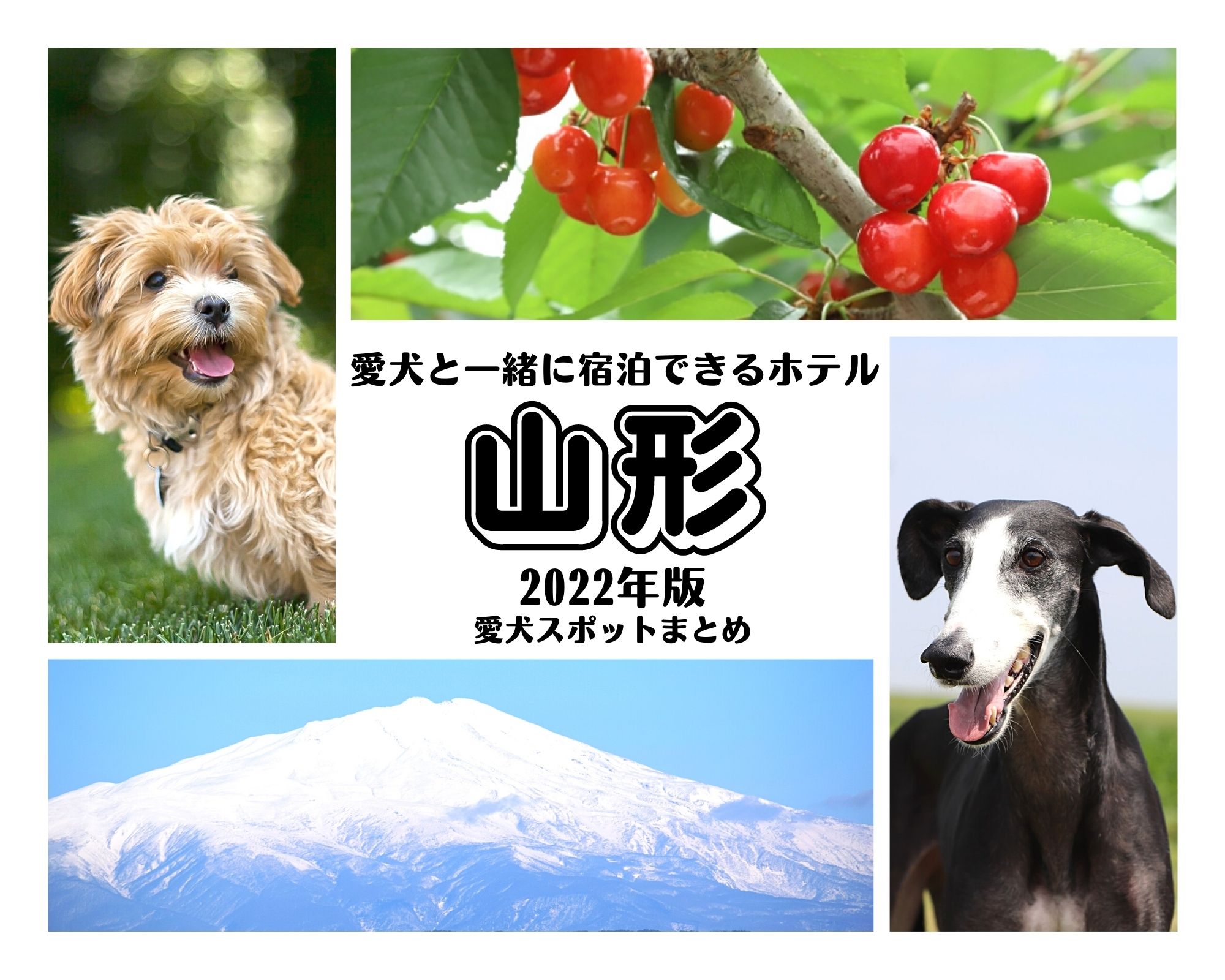 【2022年版】山形