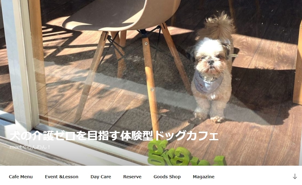 ハイシニアのケア講座・愛犬の手作りごはん教室【中級編】