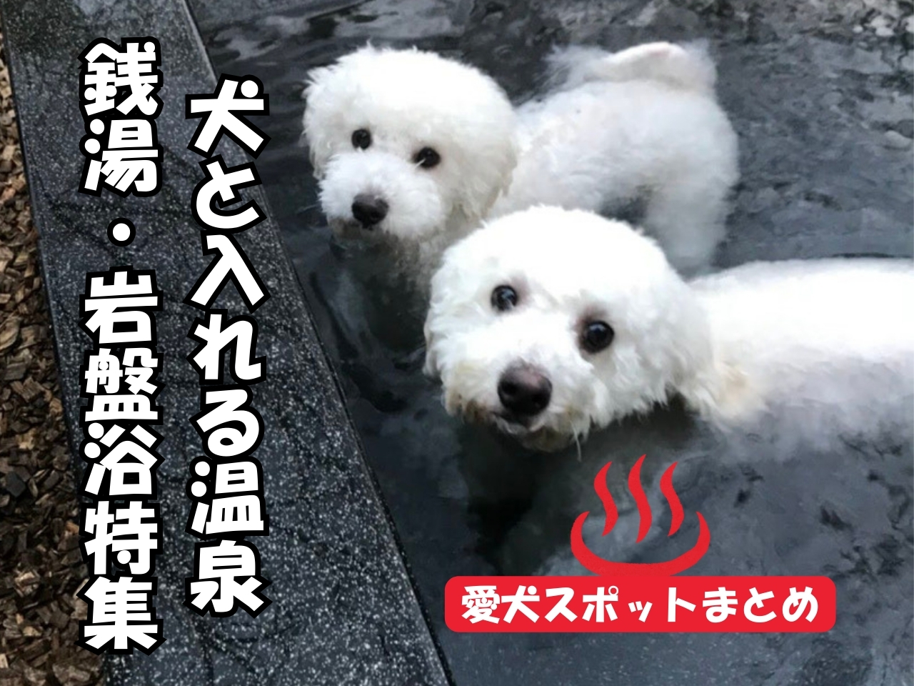 犬と入れる温泉・銭湯・岩盤浴特集