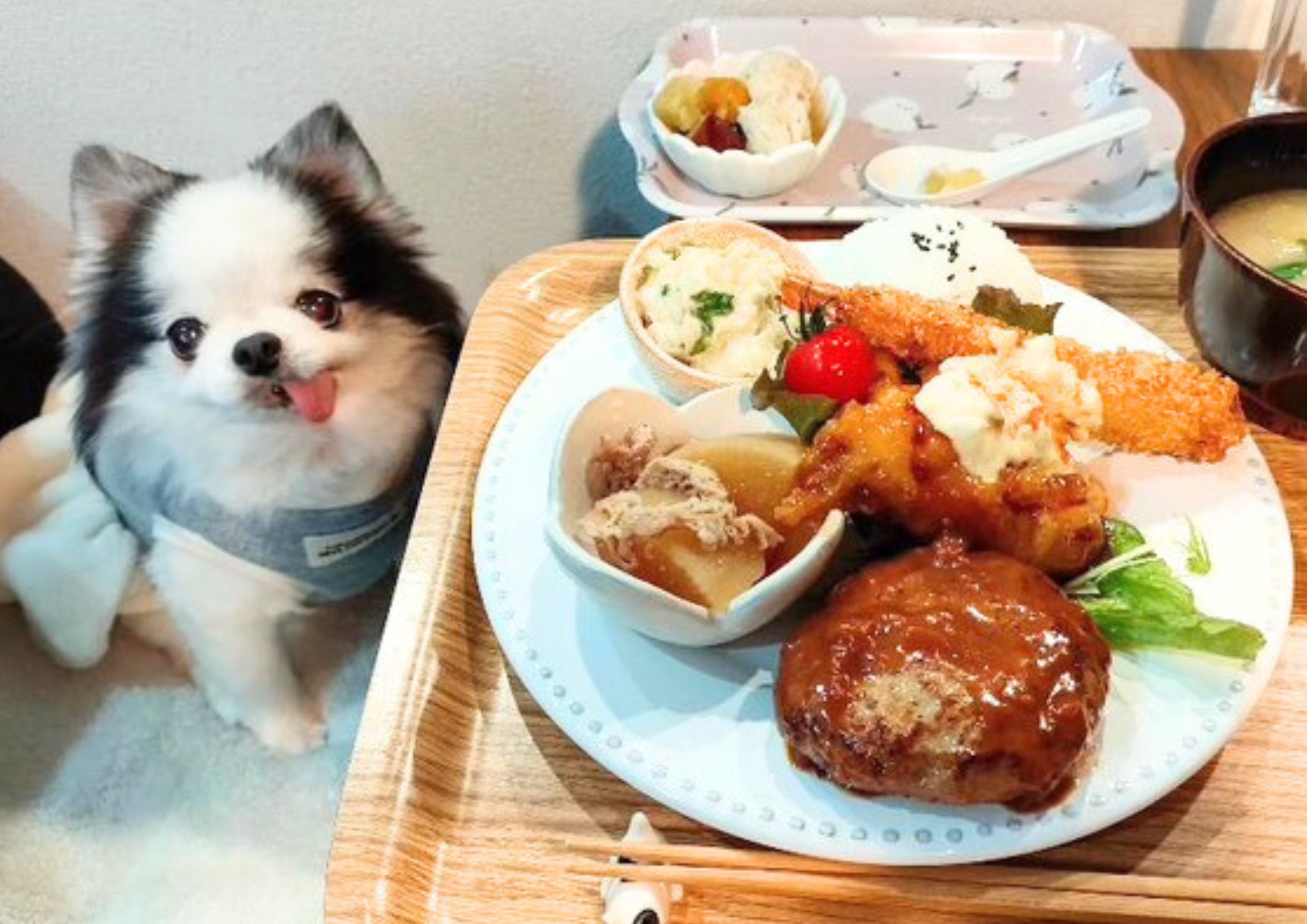 渡眞璃木