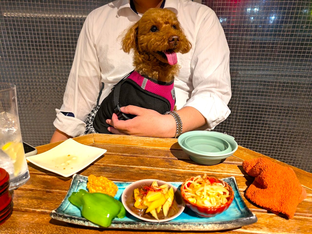 炭焼TOKI