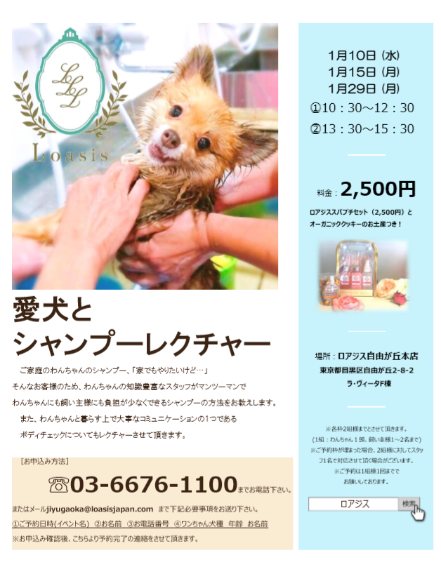 愛犬とシャンプーレクチャー・ロアジス自由が丘本店