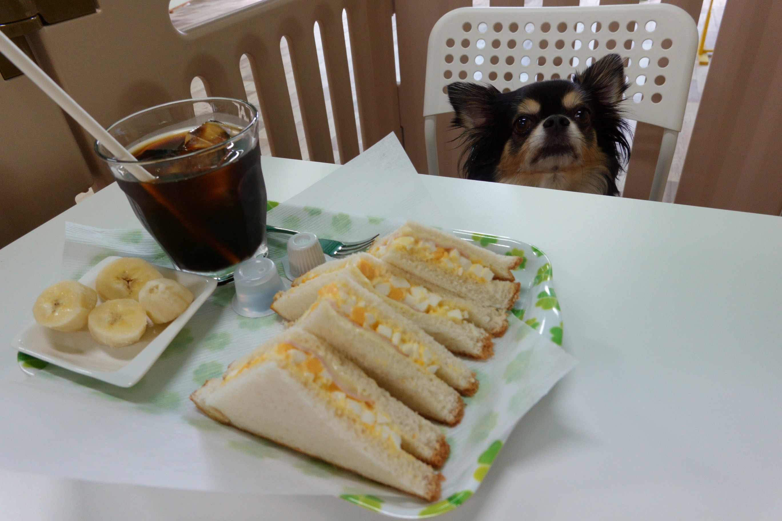 MOMOcafe(モモカフェ)