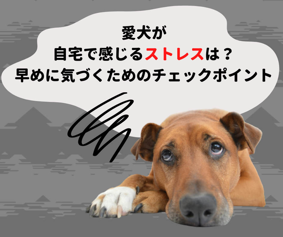 愛犬が自宅で感じるストレスは？早めに気づくためにチェックしよう!