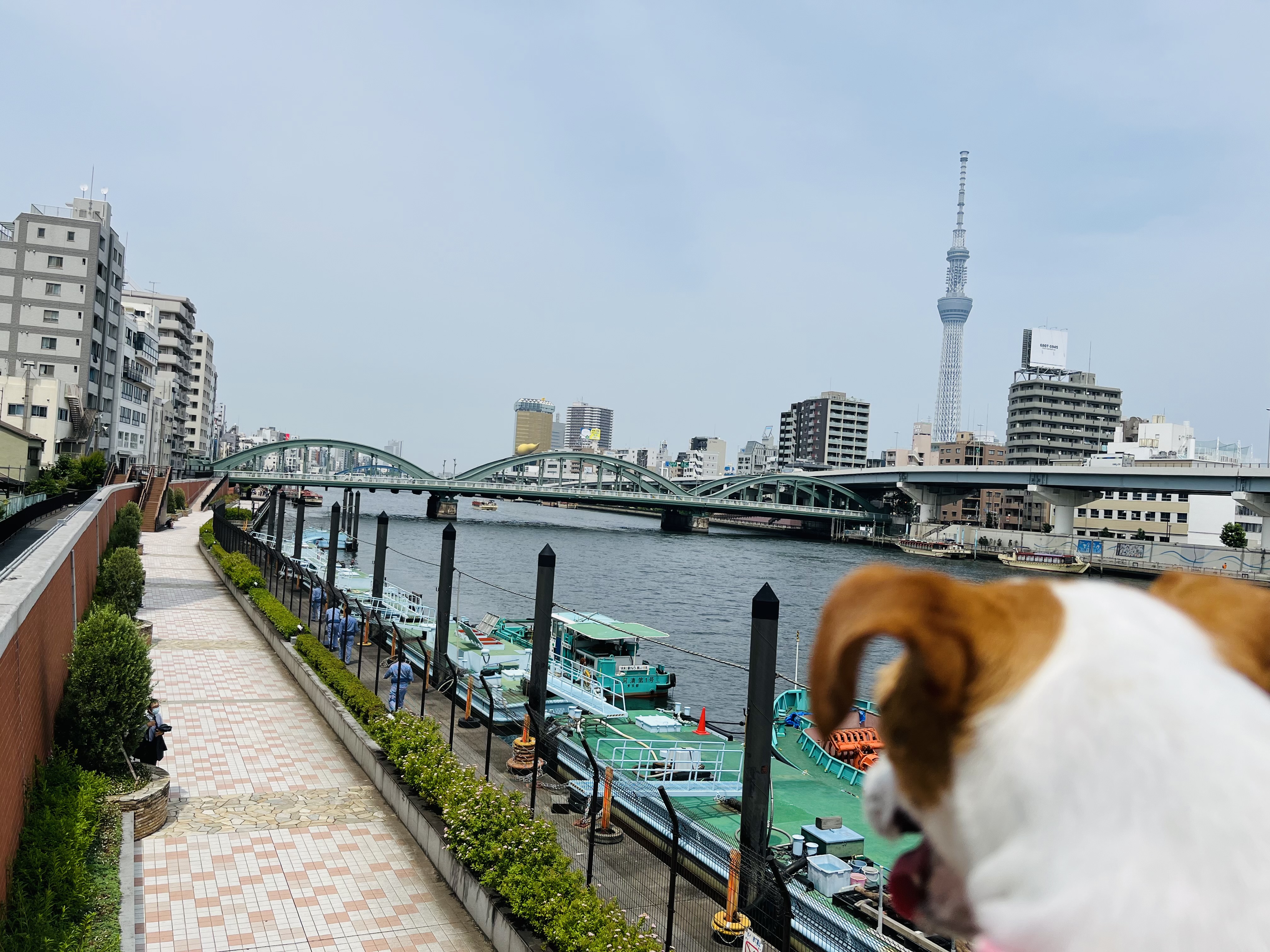 【蔵前】カラフル可愛い～癒し空間！美味しい南国グルメでHAPPYに…「Paradise