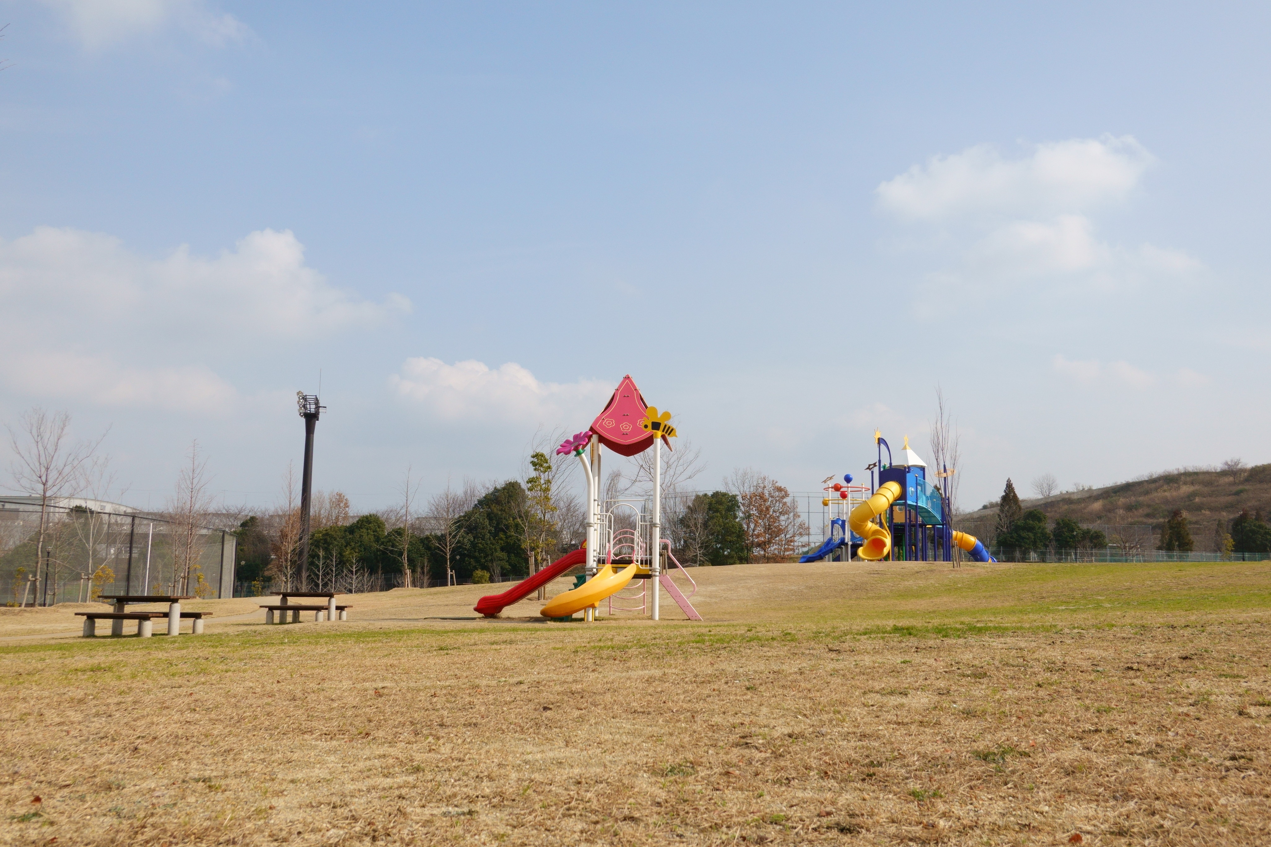 東部公園ドッグラン