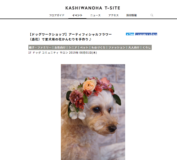 愛犬用花かんむり作り