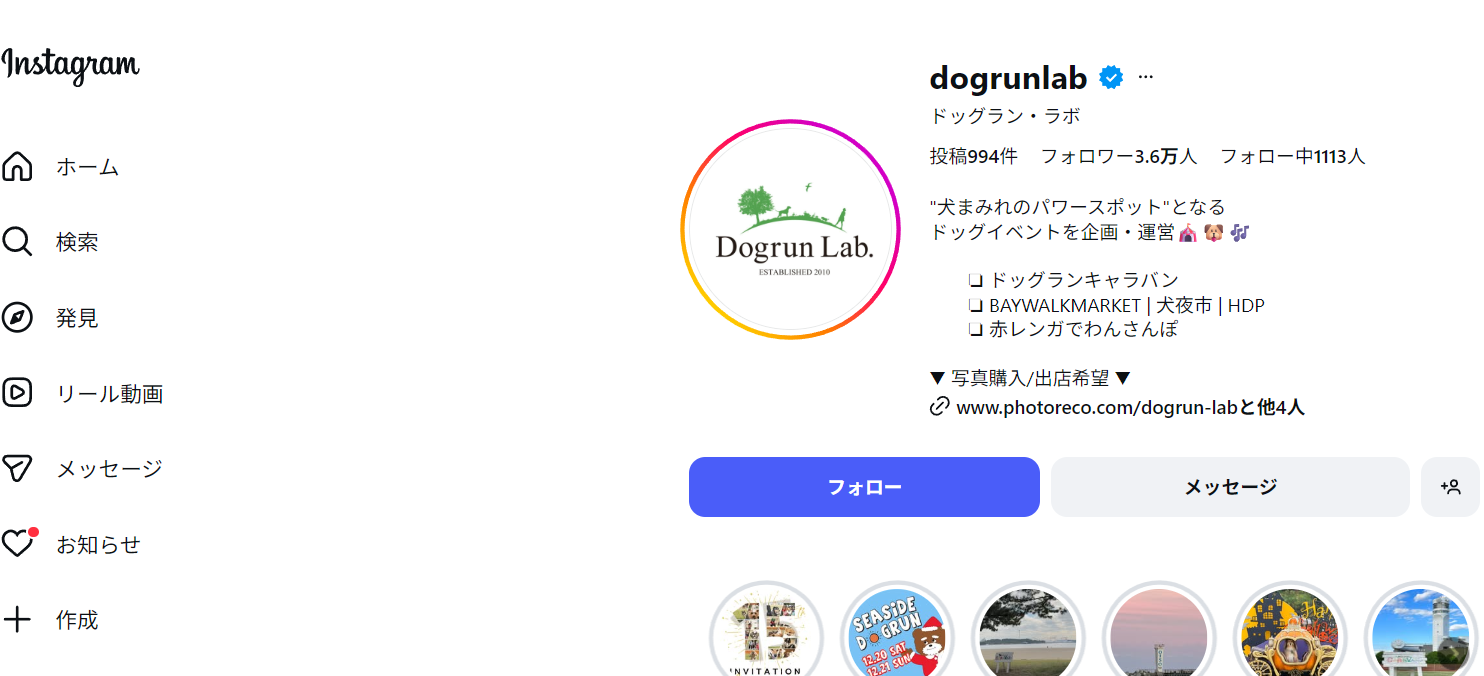 SEASIDE DOGRUN 2025 WINTER