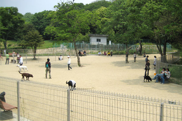 すべての愛犬スポット