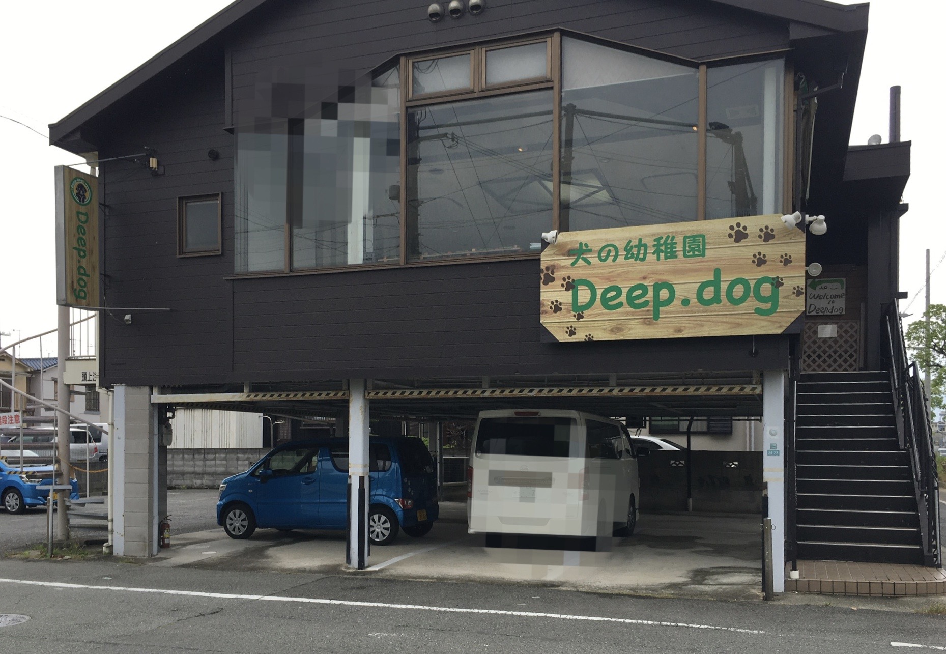 DeepDog