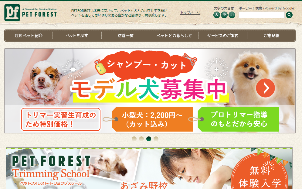 カウンセリング・わん!ポイントレッスン