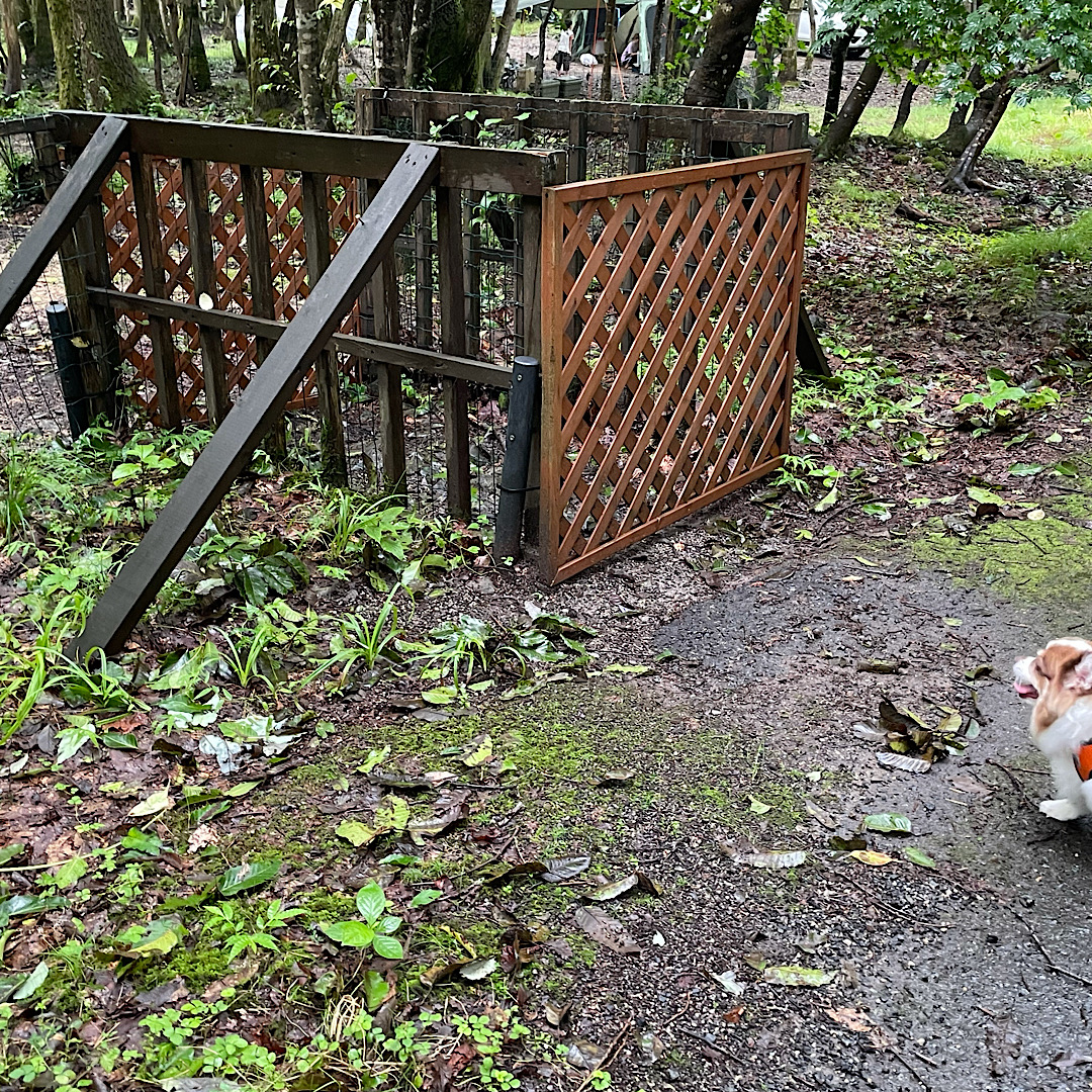 奥琵琶湖キャンプ場