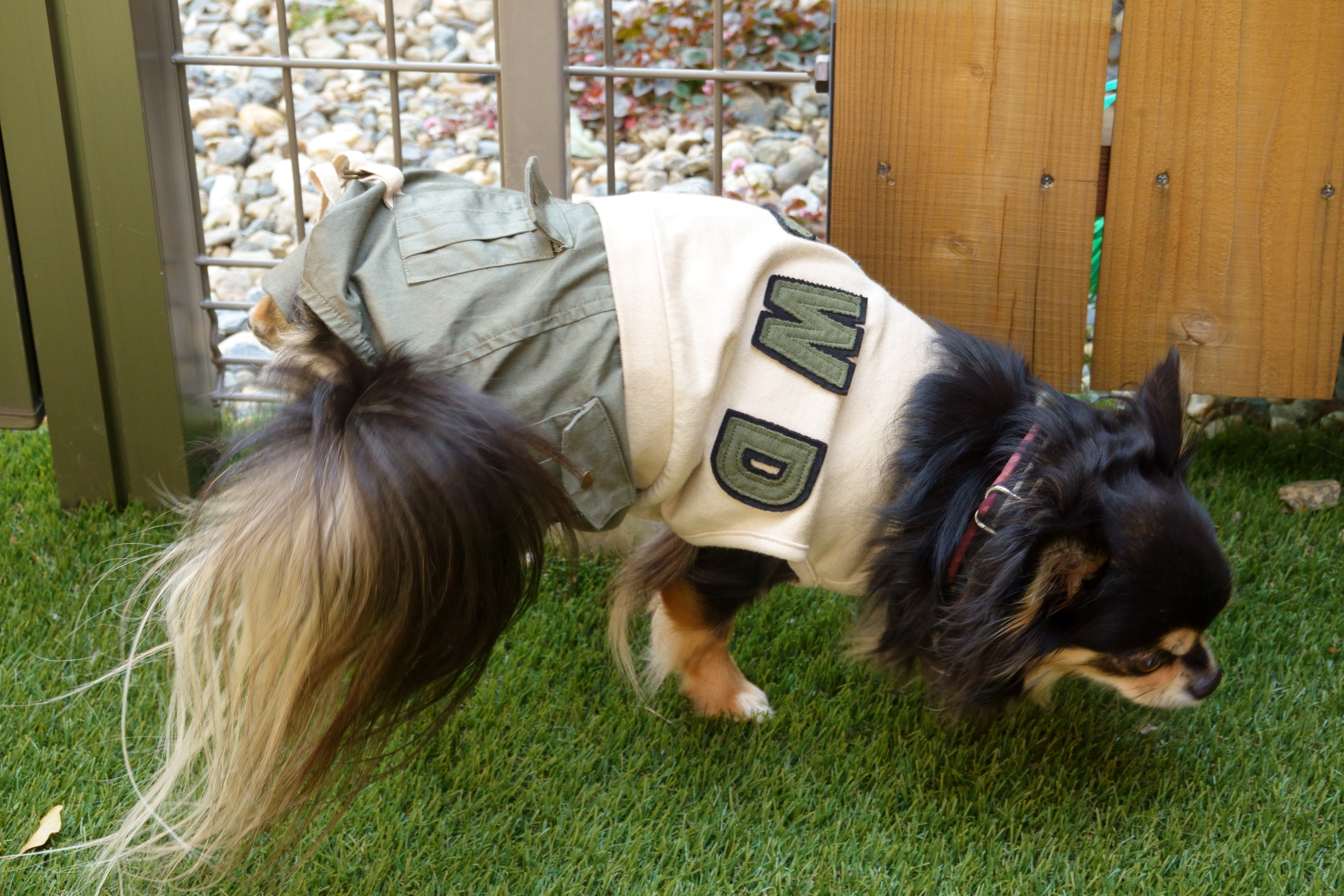 Dogcafe&salon