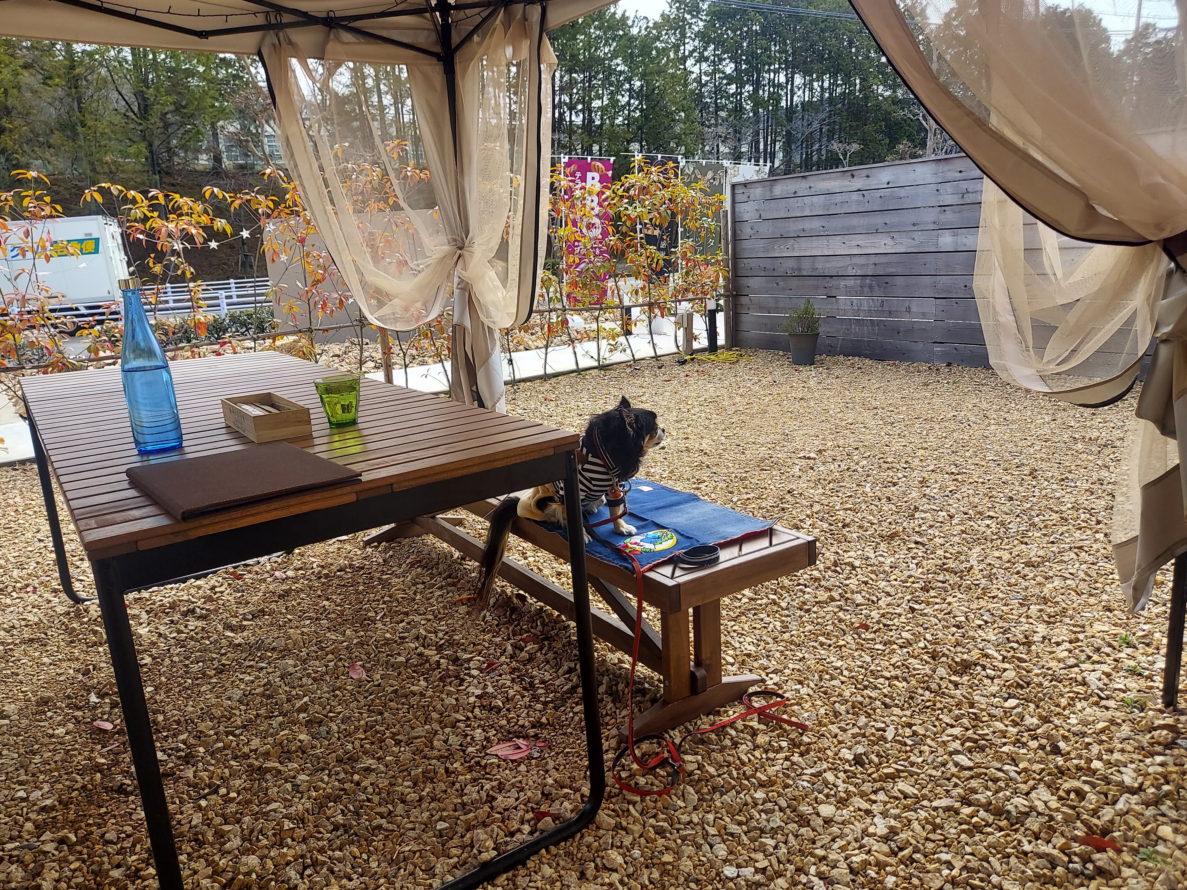 Cave des ARTIVEURS(キャーヴ・デ・ザルティバー)