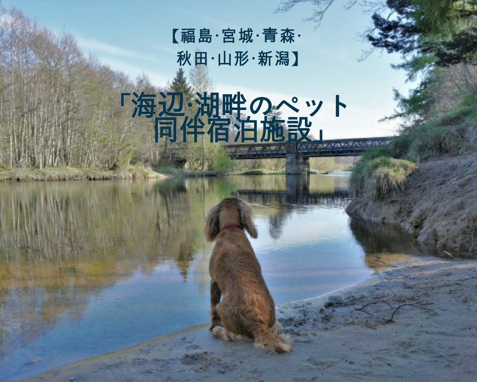 「海辺・湖畔のペット同伴宿泊施設」〜東日本編 part3〜