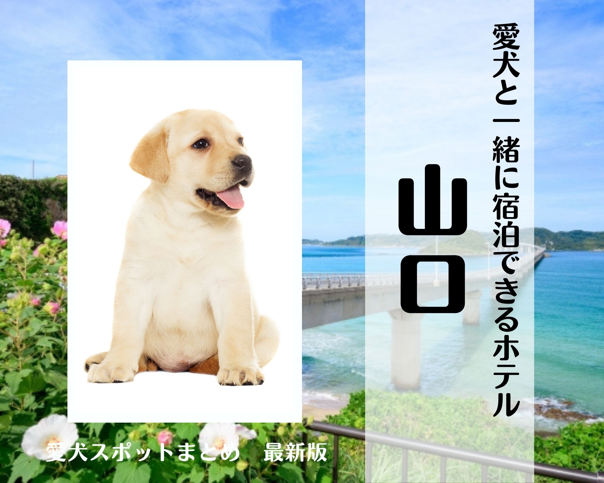 山口