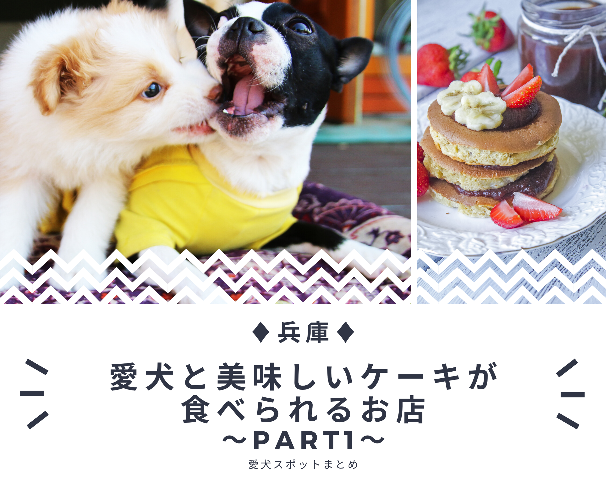 【兵庫Part 1】愛犬と美味しいケーキが食べられるお店