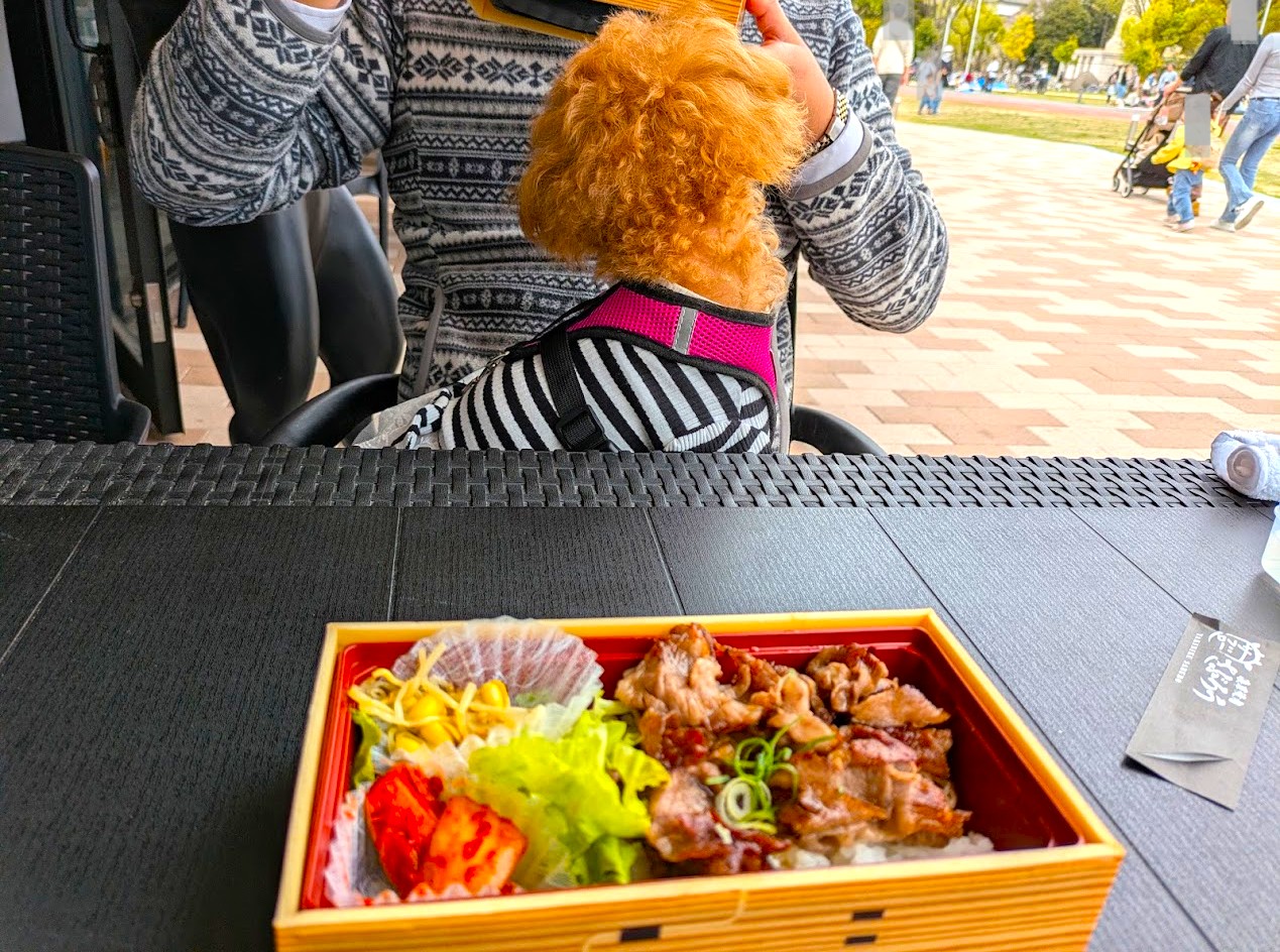 浪華焼肉さぶろう