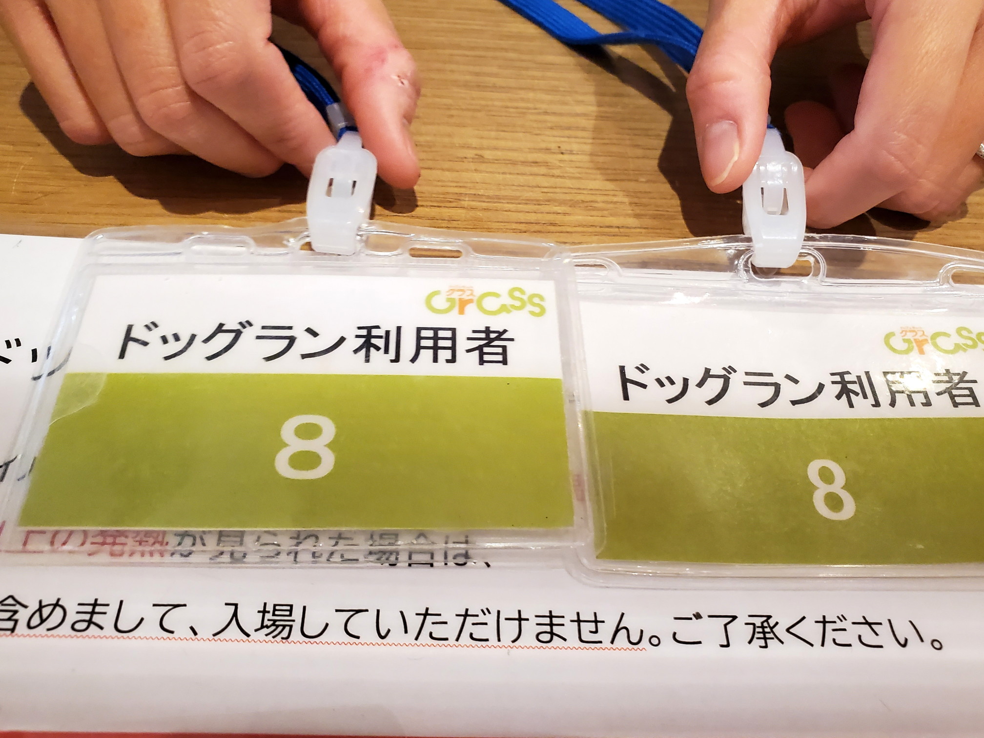 GRASS DOG&CAT(グラスドッグ&キャット) てんしば店