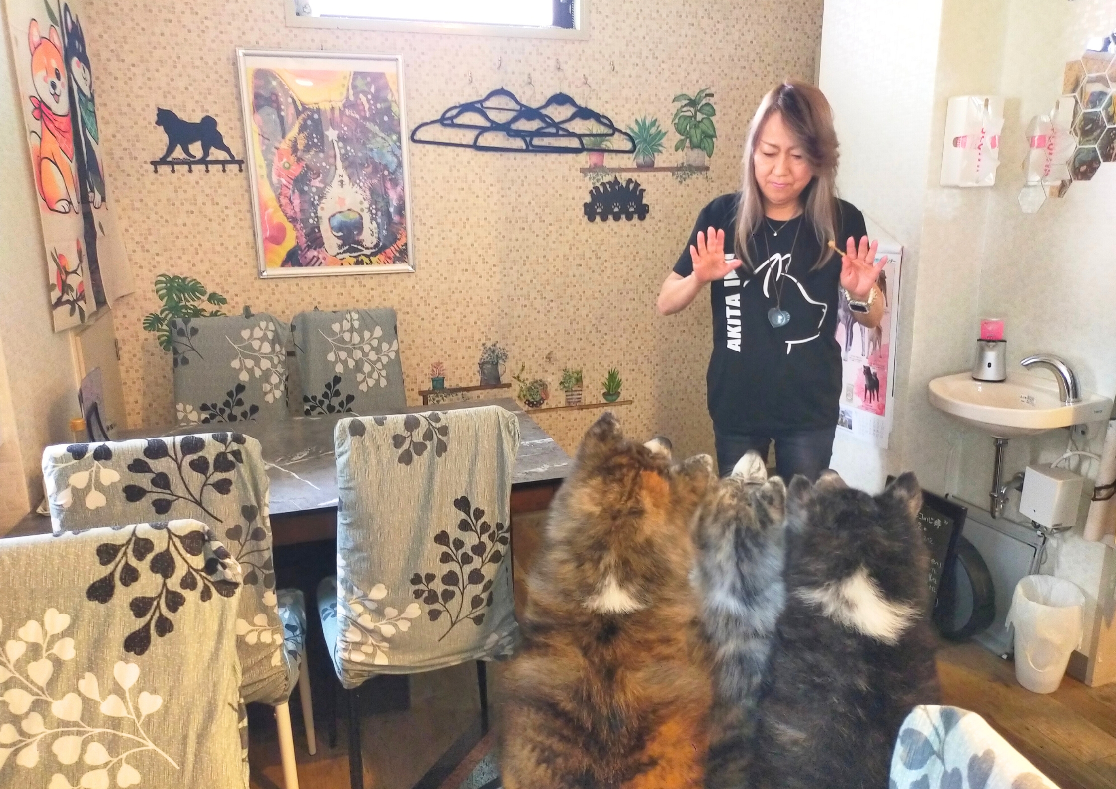 dog居酒屋きなぎ