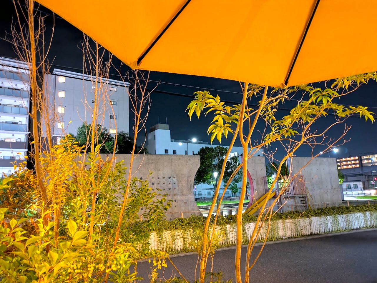 Cafe&terrace kikinomori