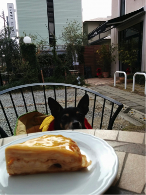 パスティッチェリア・アマレーナ