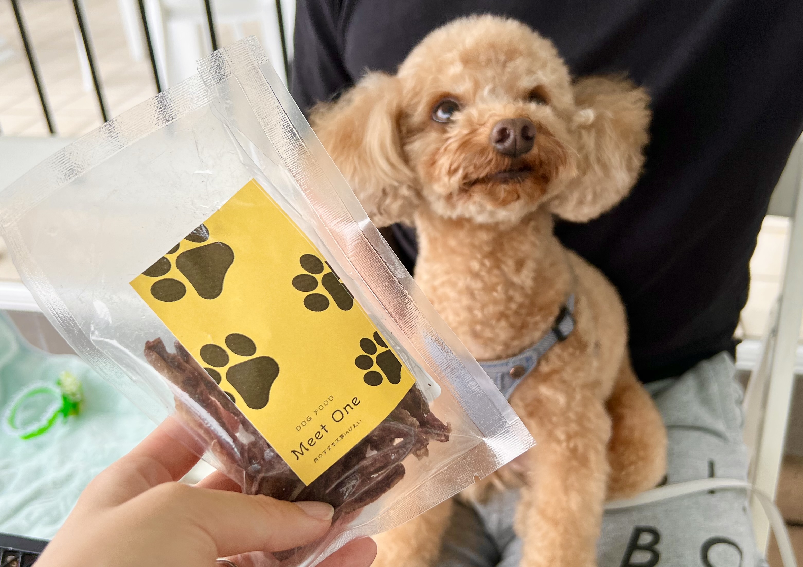 【西調布駅】ゆったりとくつろぎながら本物の洋食を味わえる人気店！「クリスマス亭（CHRISTMAS亭）」テラス席ペット同伴可【東京都調布市】