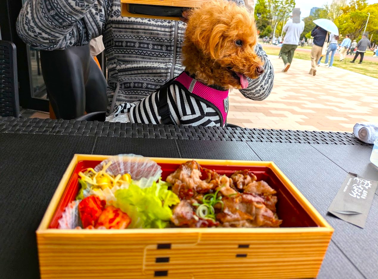 浪華焼肉さぶろう
