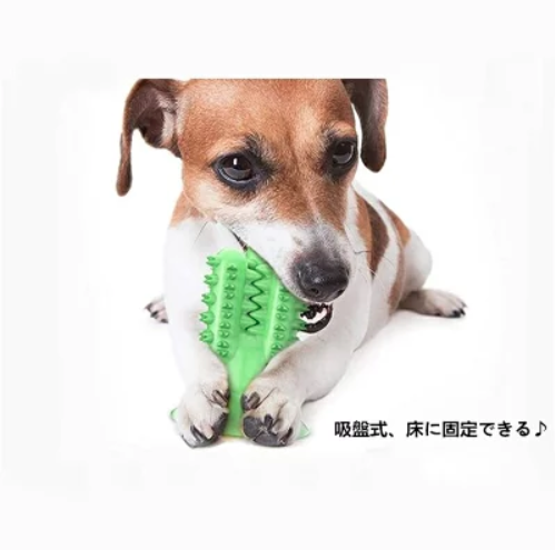 愛犬のデンタルケア商品10選【ペットと一緒編集部】