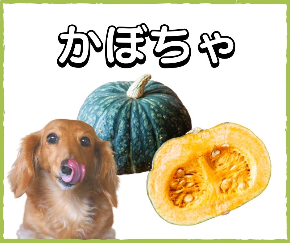 愛犬メニューに夏野菜を取り入れよう！NG食材も紹介