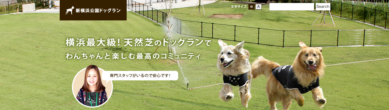 【関東】夜でも愛犬が楽しめるドッグラン