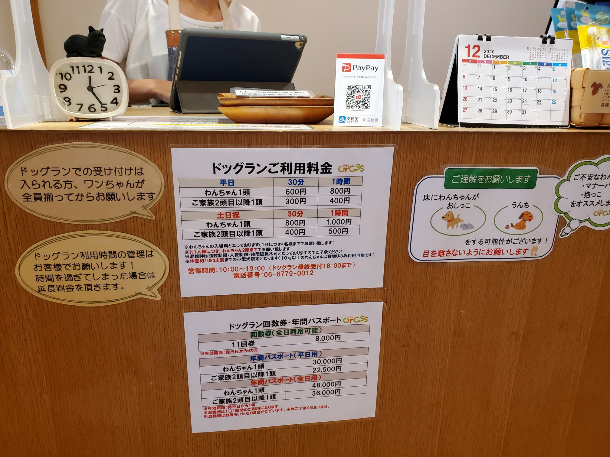GRASS DOG&CAT(グラスドッグ&キャット) てんしば店