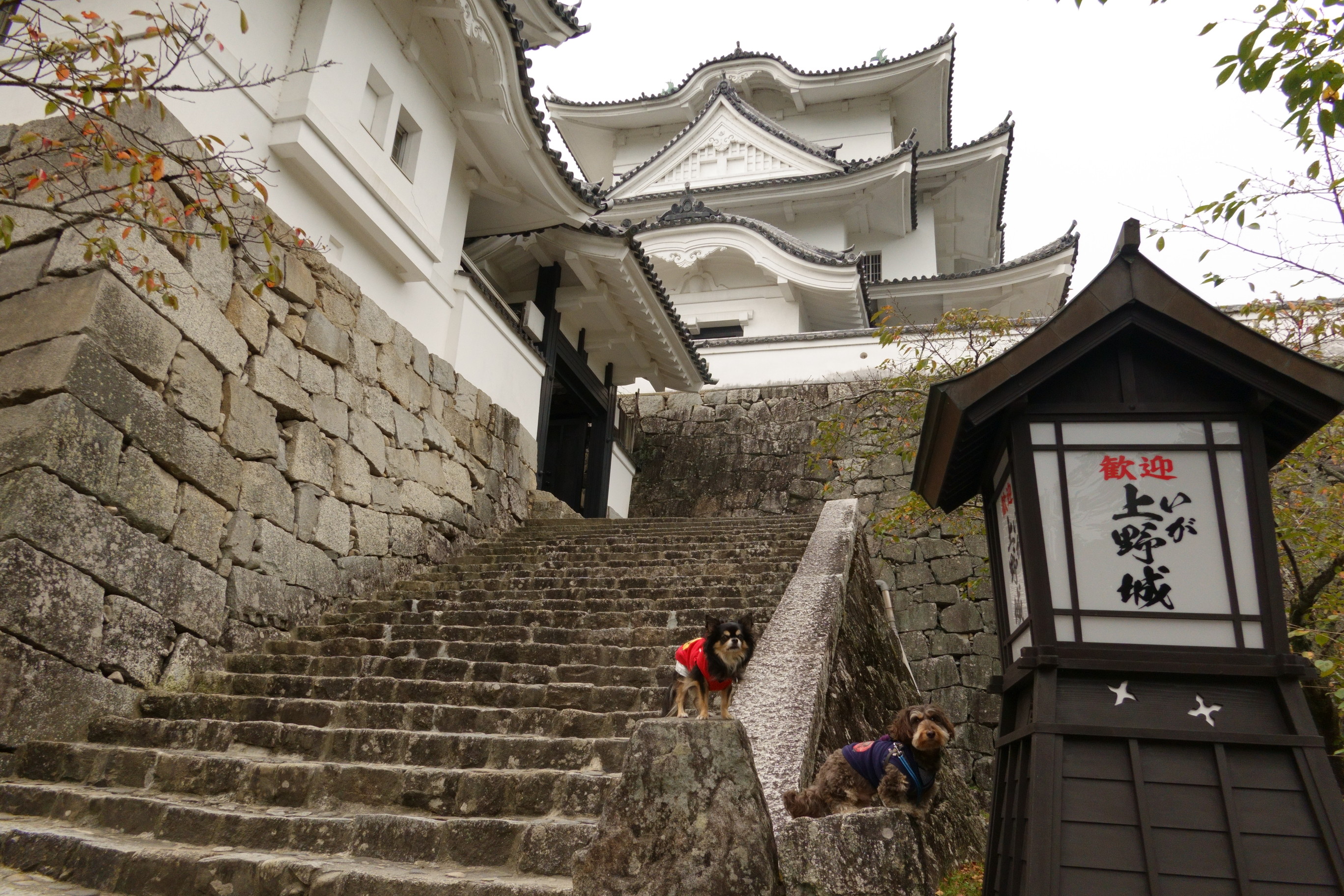 伊賀上野城