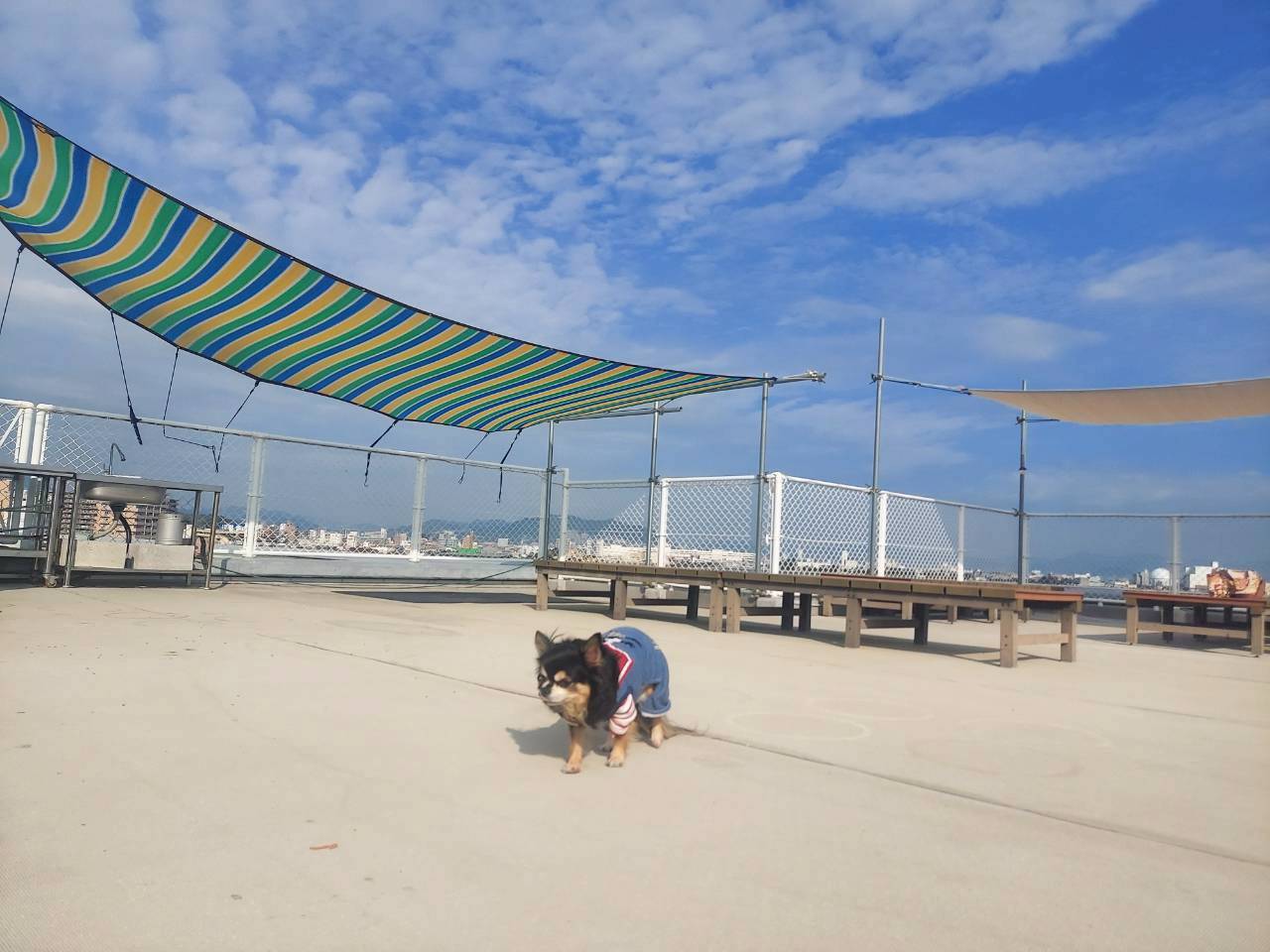 おもてなしホステル宮島