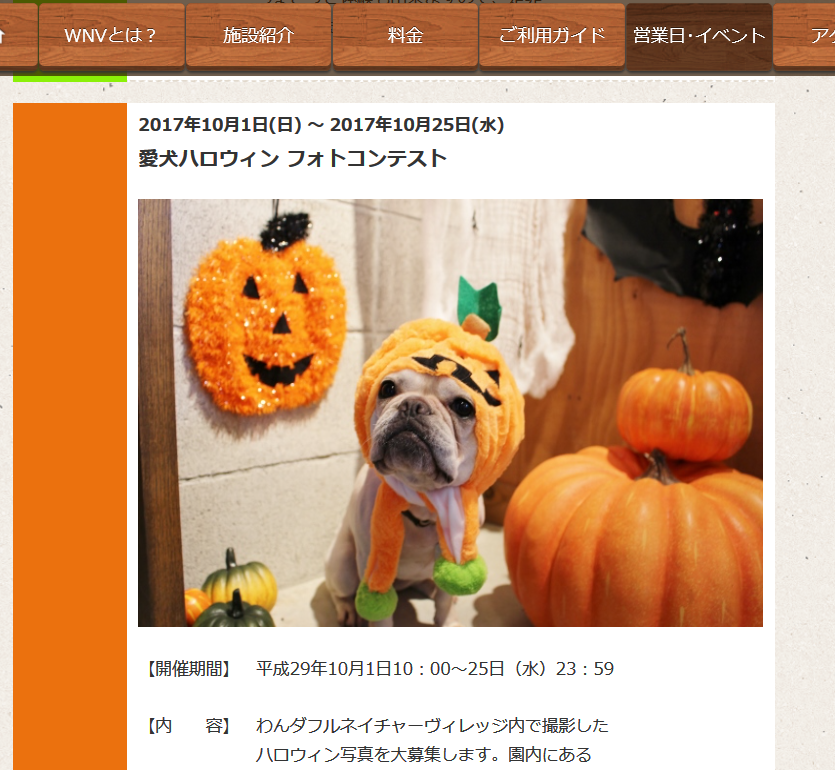 愛犬ハロウィン・フォトコンテスト・わんダルフルネイチャービレッジ