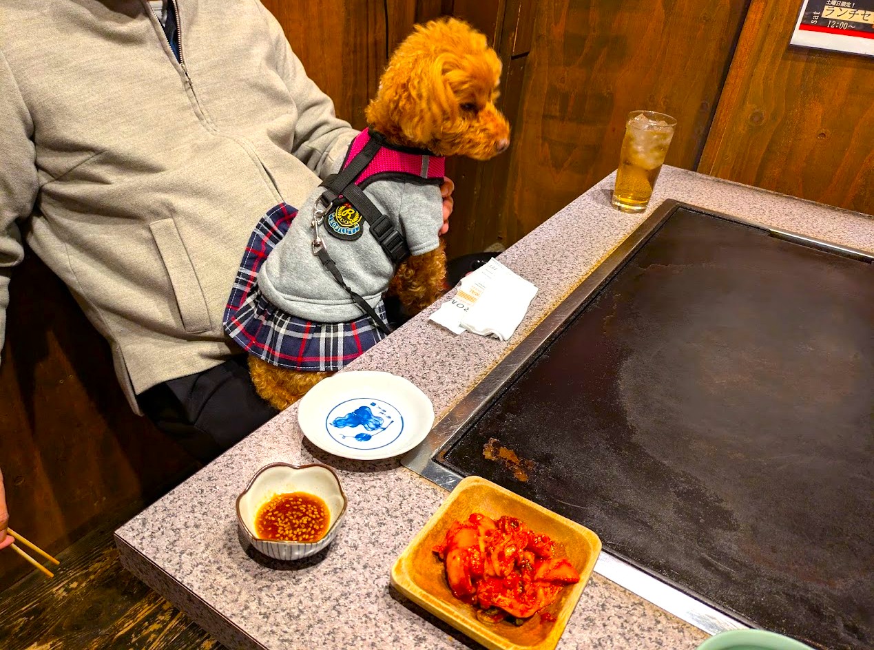 もんじゃつづみ