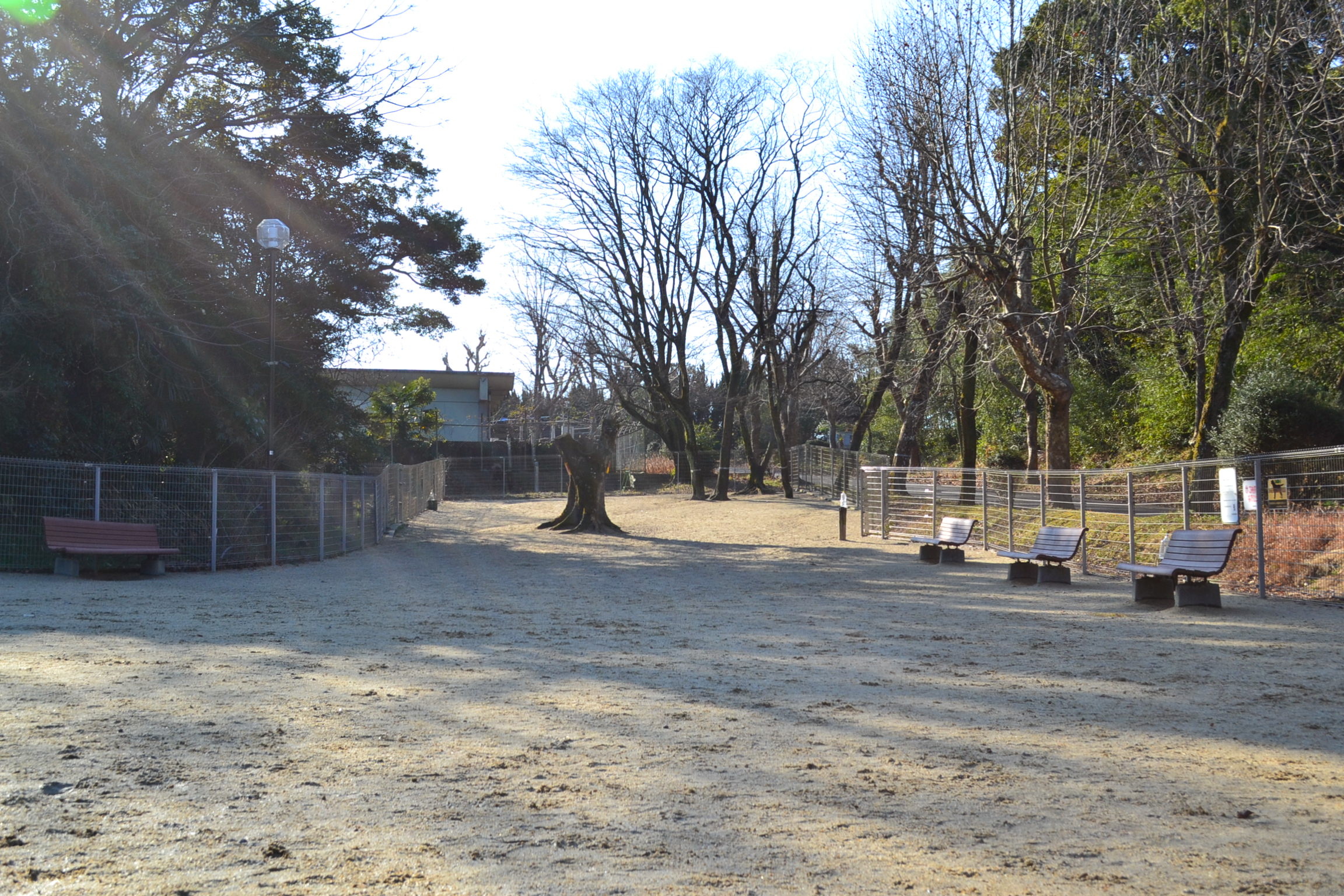 大高緑地ドッグラン