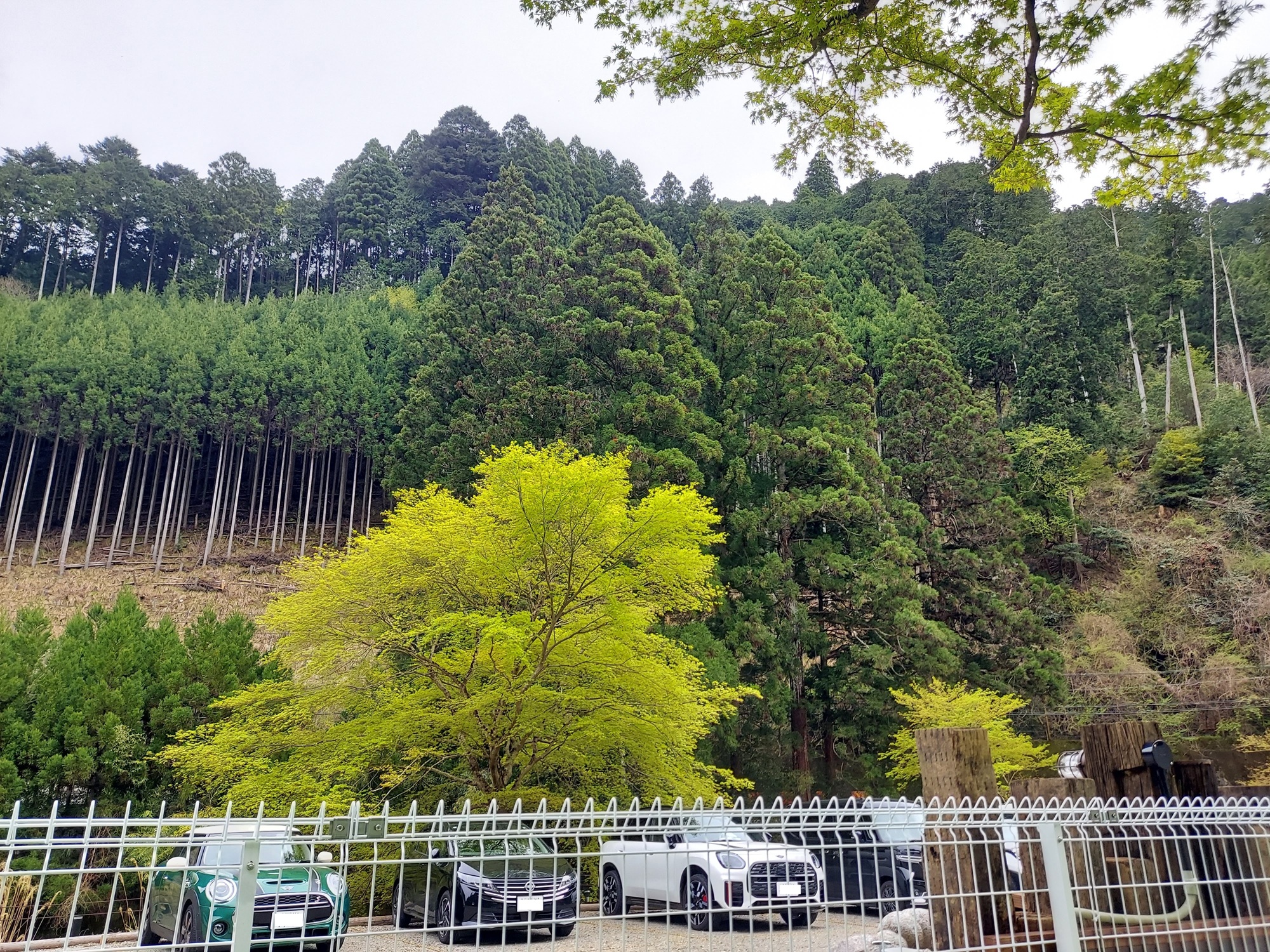 北山グリーンガーデン