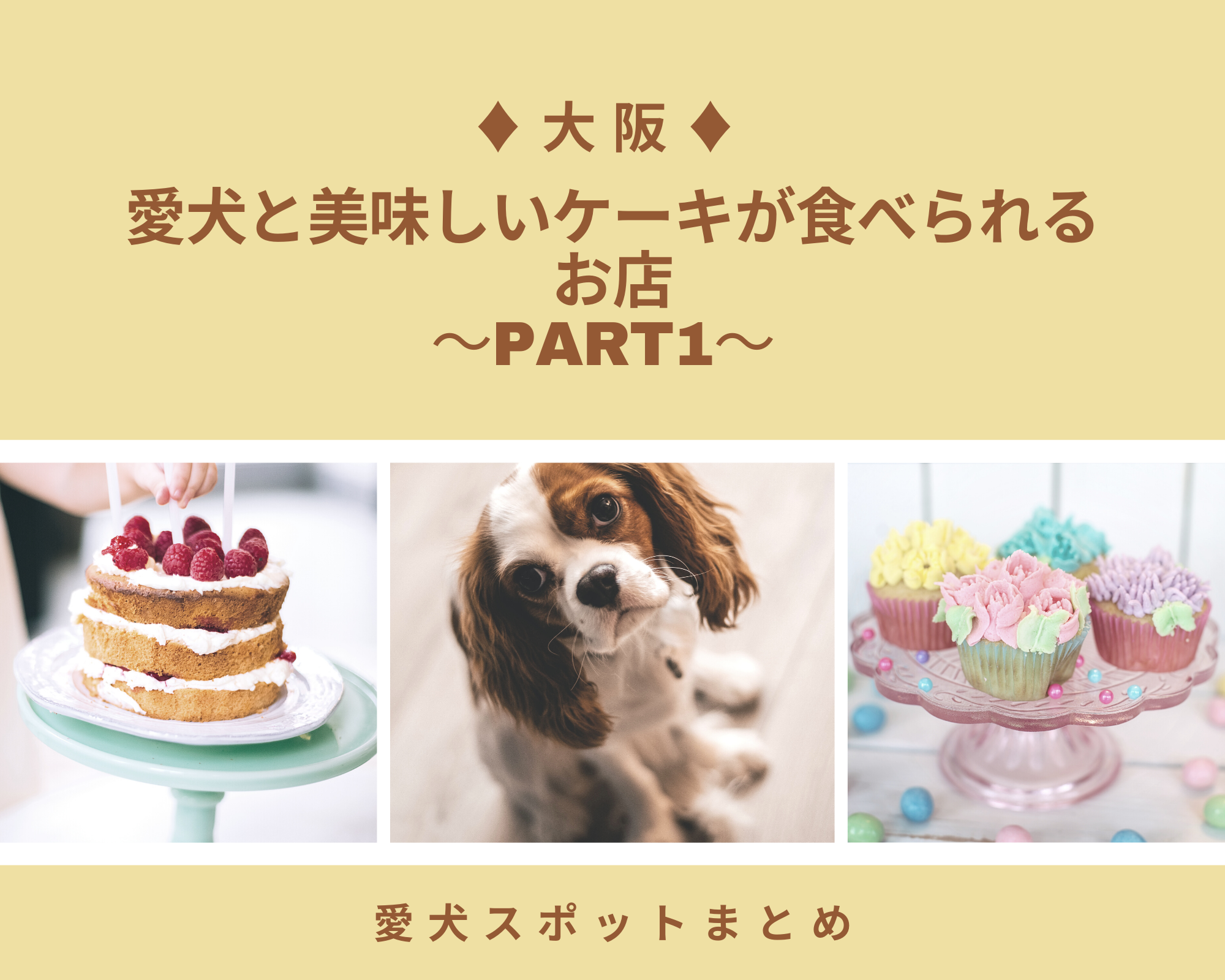【大阪】愛犬と美味しいケーキが食べられるお店～Part1～