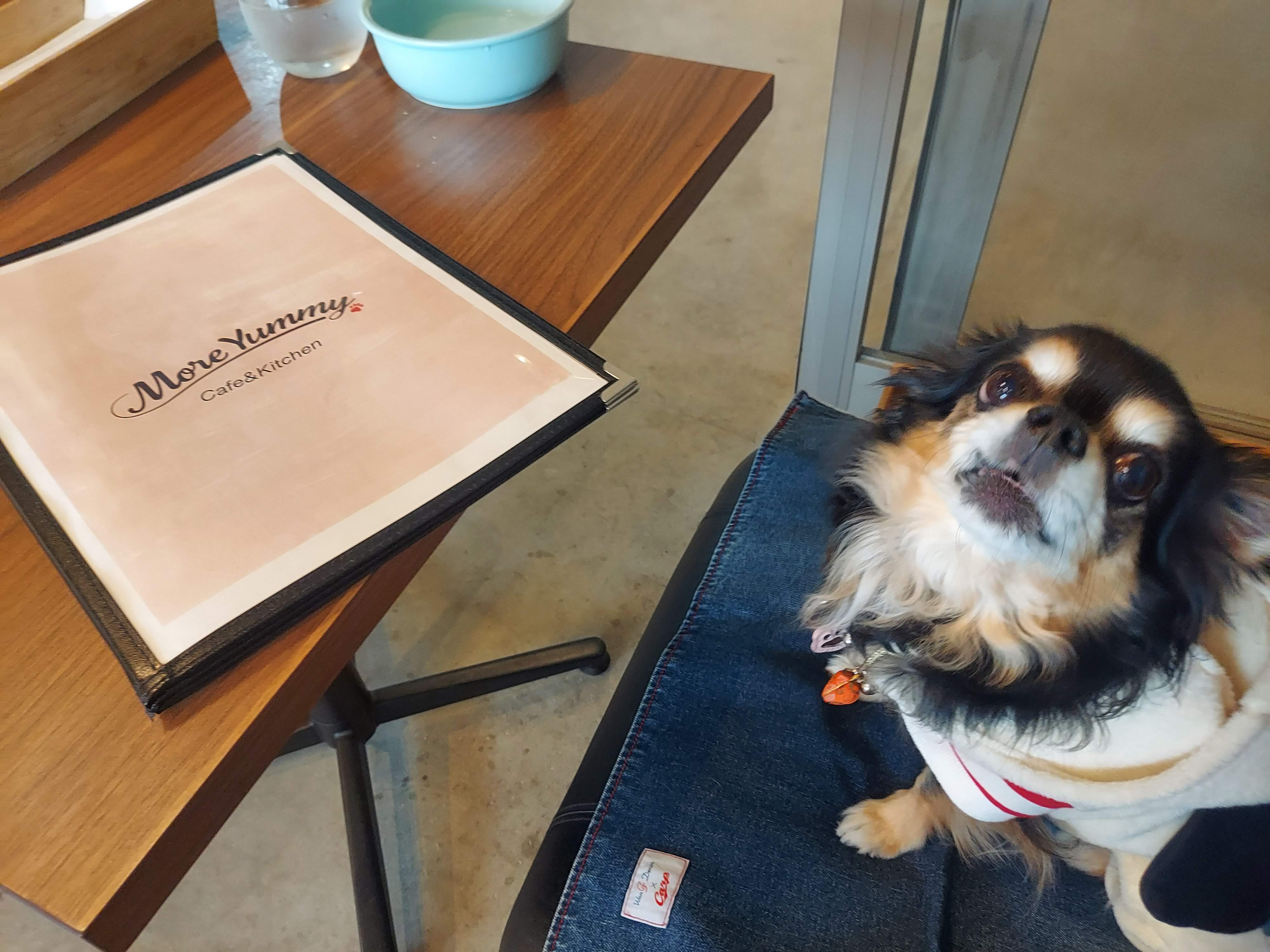 Cafe&Kitchen MoreYummy(カフェキッチン・モアヤミー)