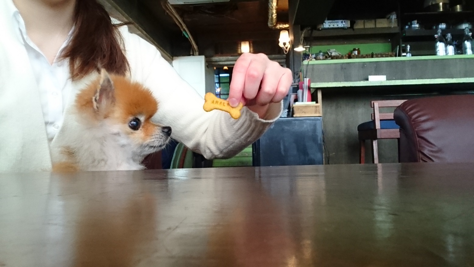 【関東】愛犬と美味しいケーキが食べられるお店