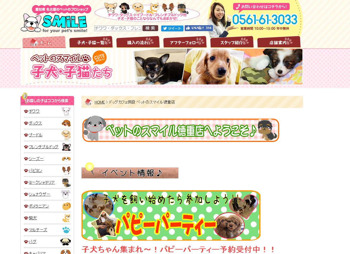 すべての愛犬スポット