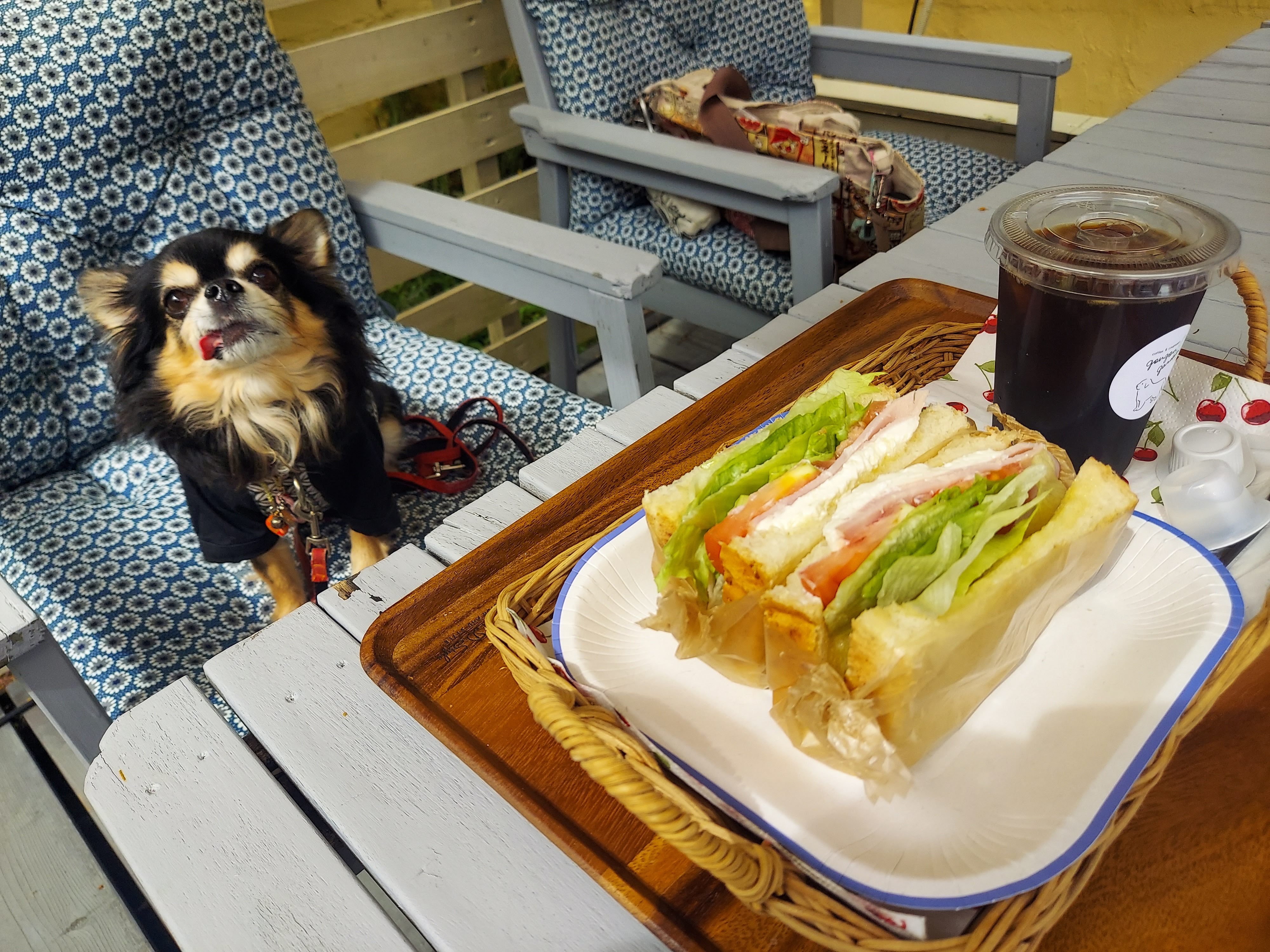 gongoncafe(ごんごんカフェ)