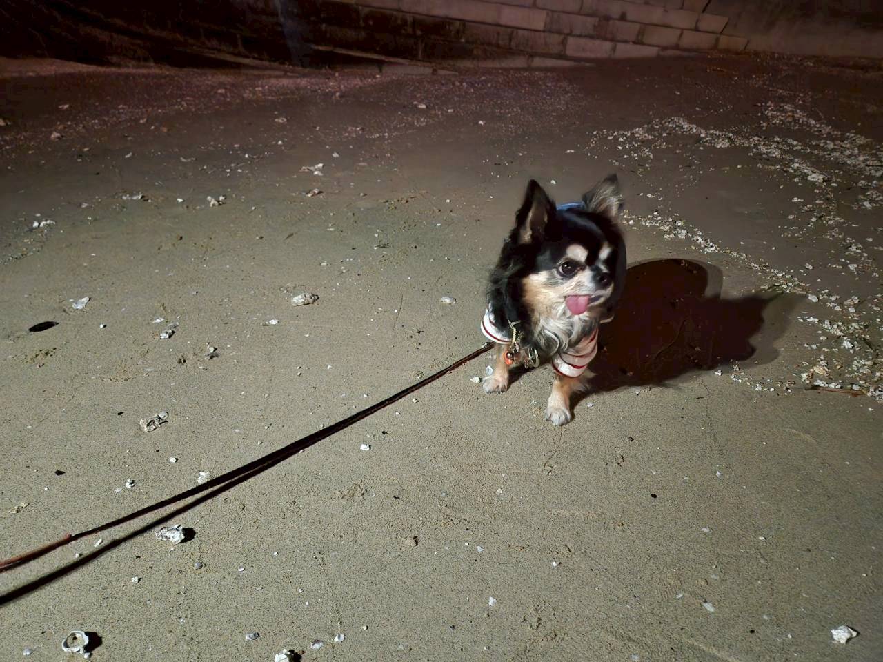 おもてなしホステル宮島