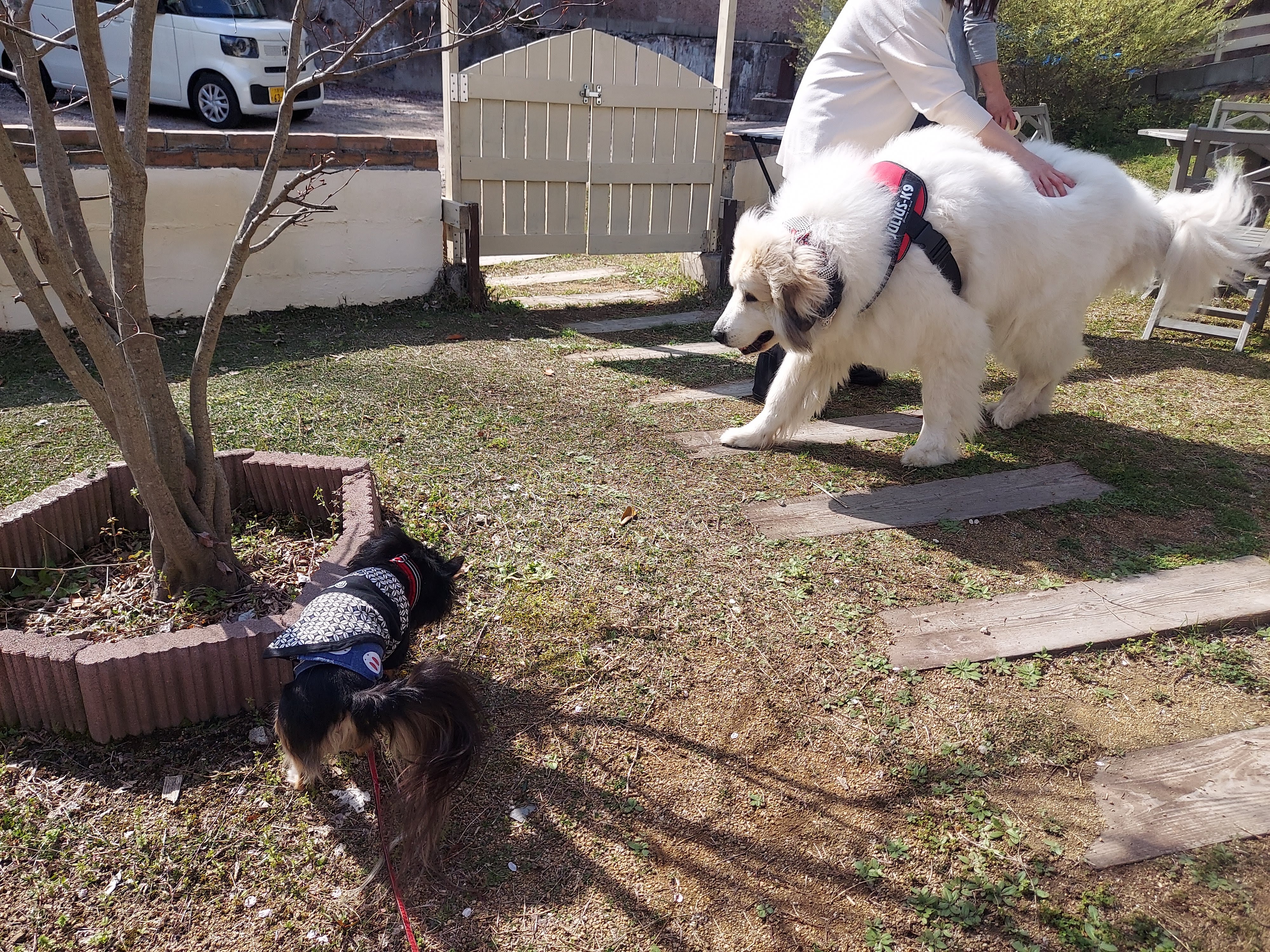 gongoncafe(ごんごんカフェ)
